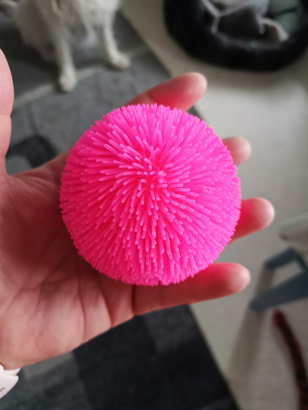 NeeDoh Fidget Boll Shaggy