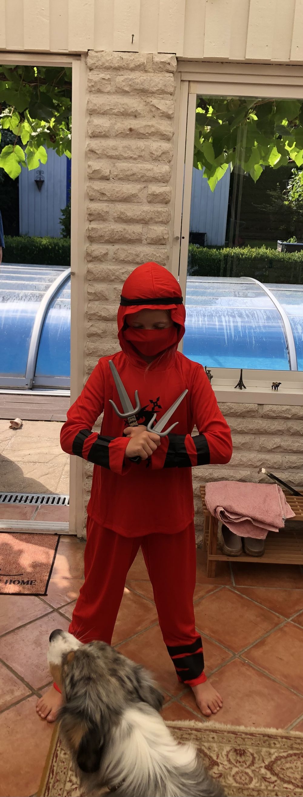Ninja Våpen Kit