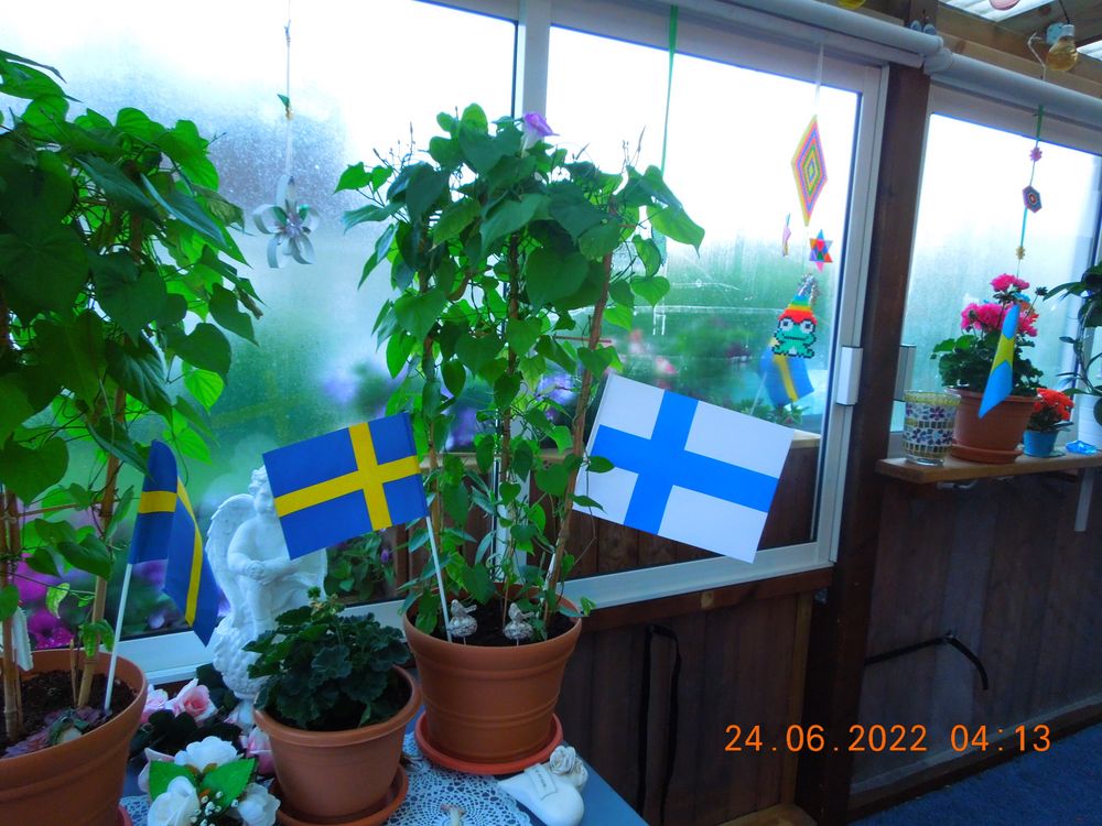 Papirflagg Finland