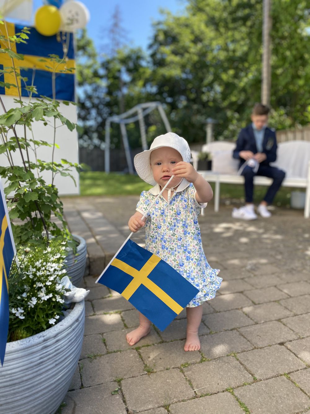 Handflaggor Sverige