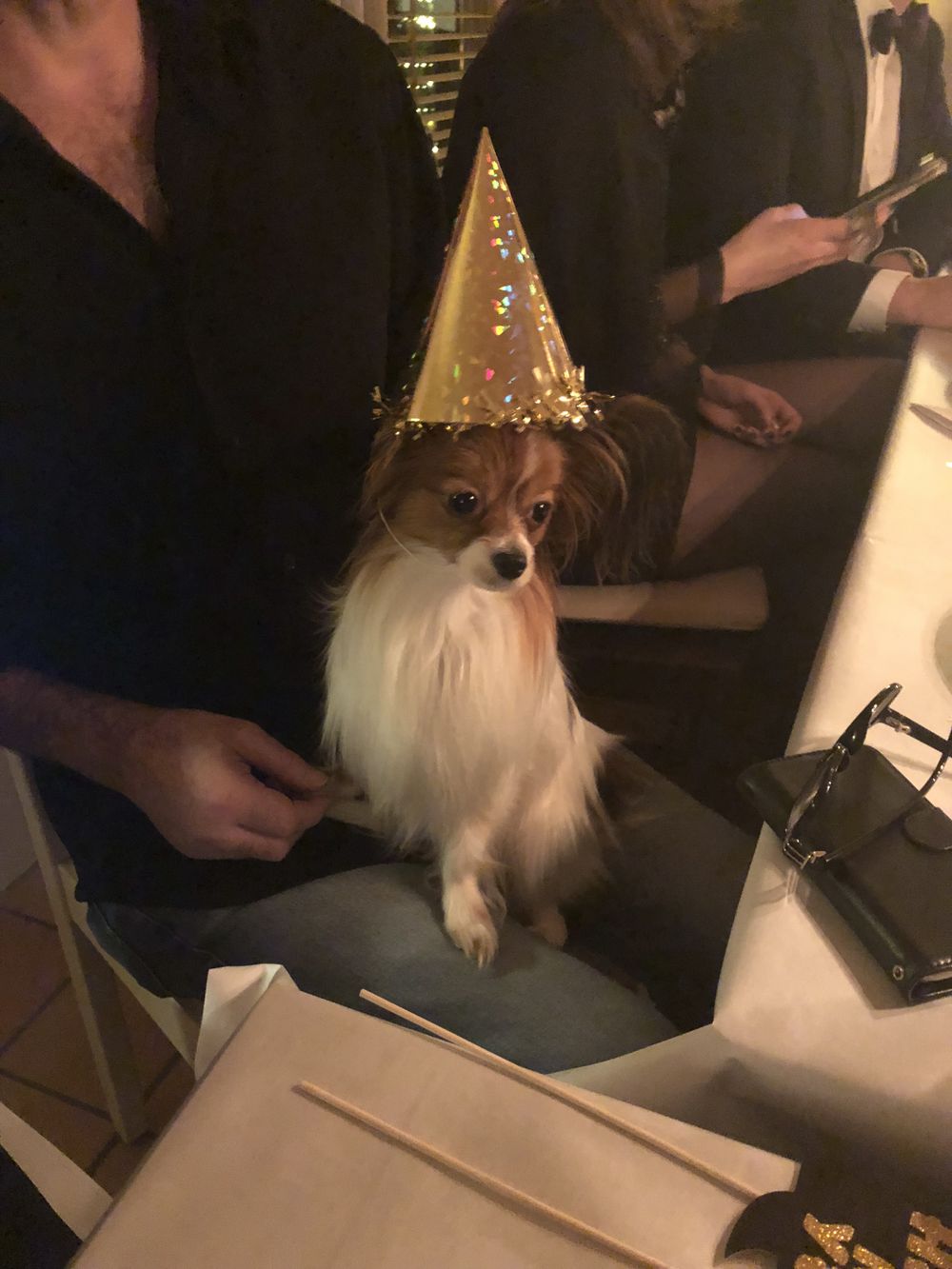 Partyhatt Hologram