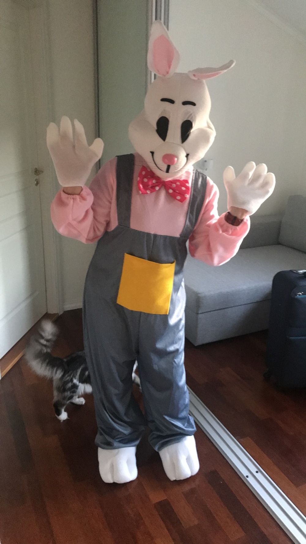 Påskehare Kostyme