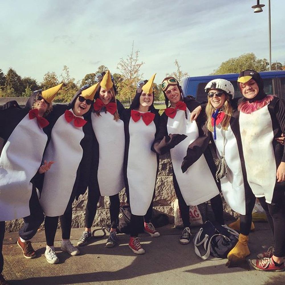 Pingvin Kostume