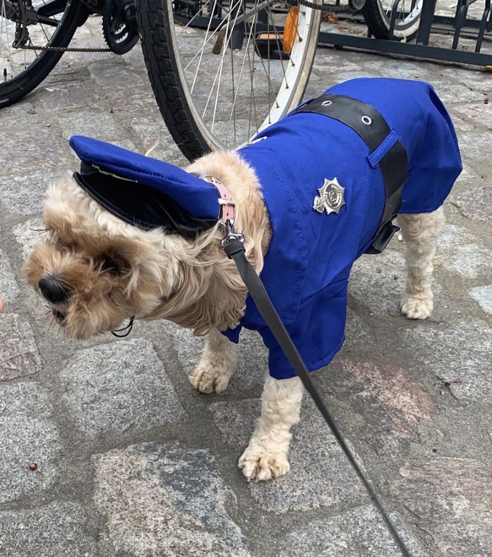 Politihund Kostyme