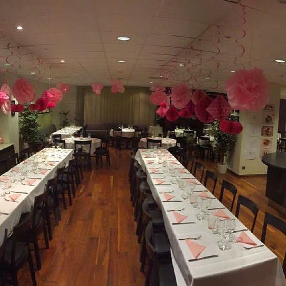 Pom Pom Rosa Hengende Dekorasjon