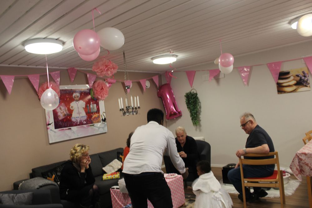 Pom Pom Rosa Hengende Dekorasjon