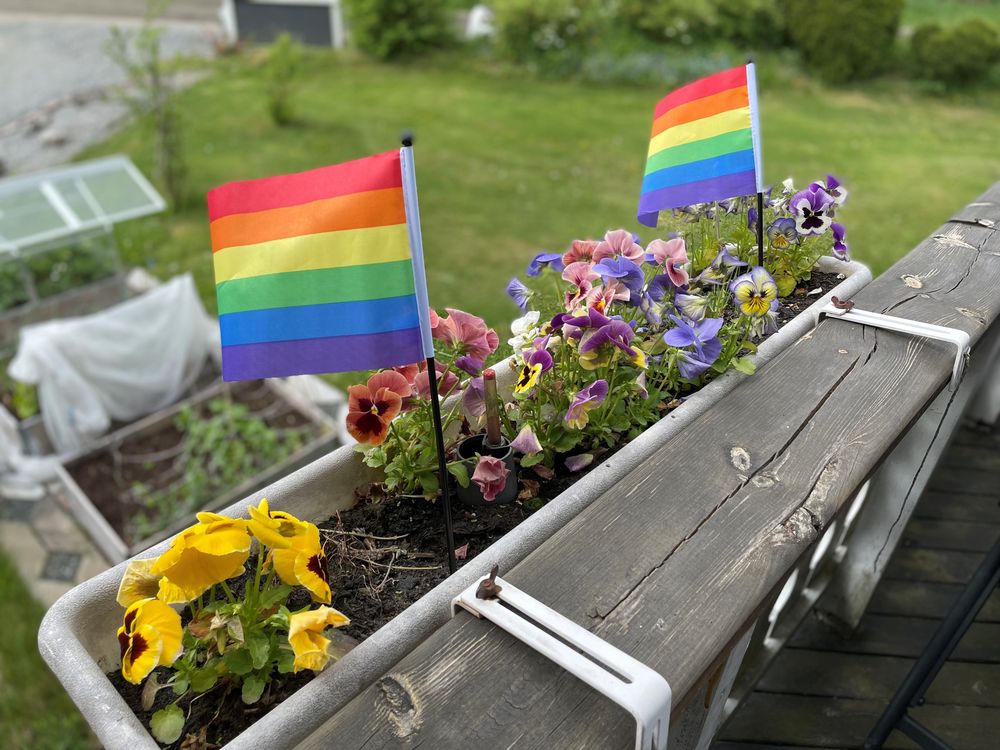 Regnbågsflagga på Pinne
