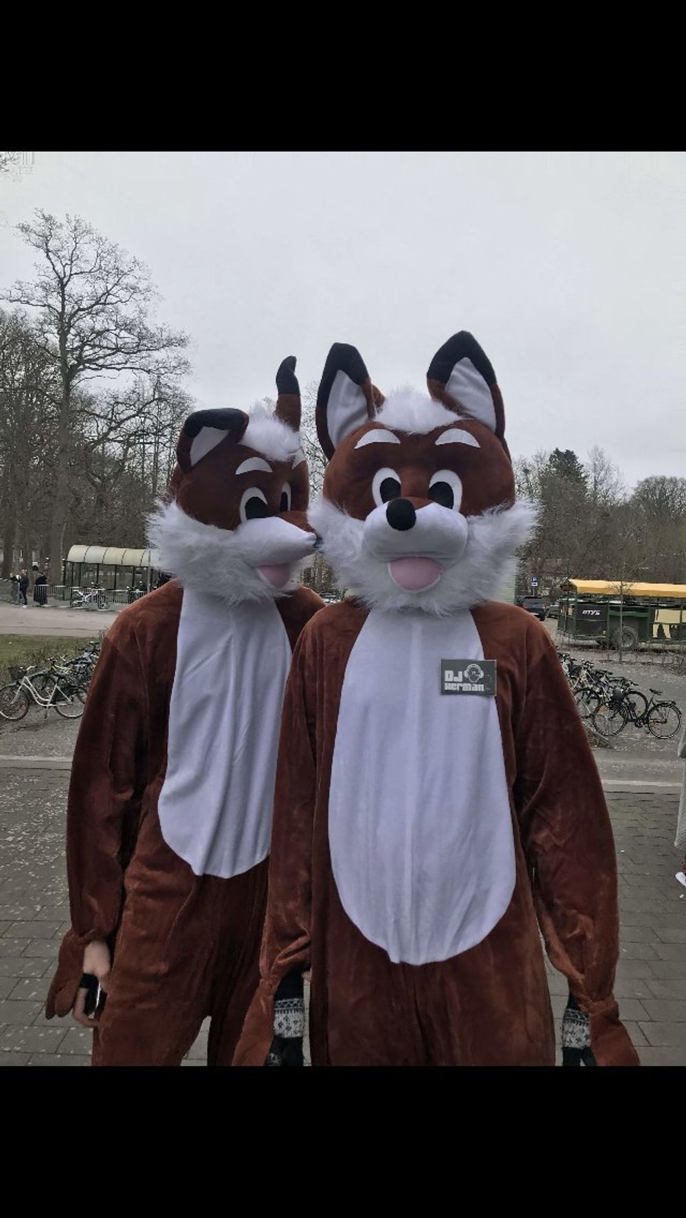 Rævemaskot Kostume