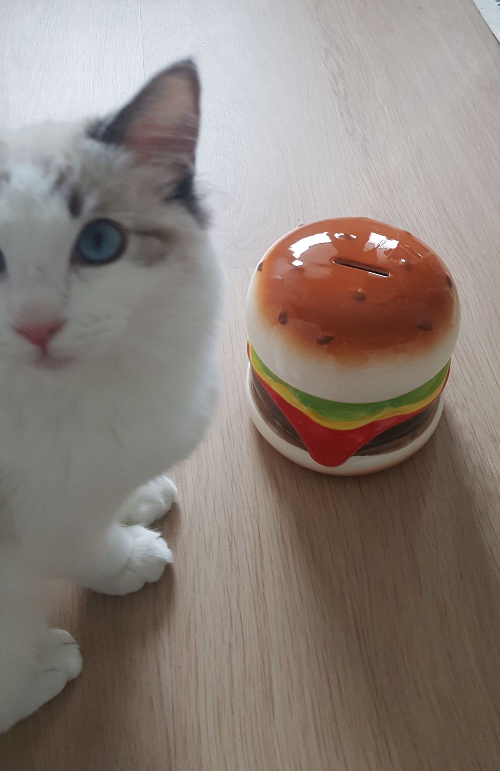 Sparebøsse Hamburger