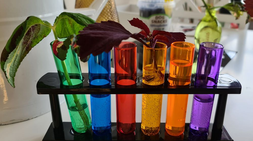 Shotteglass Reagensglass