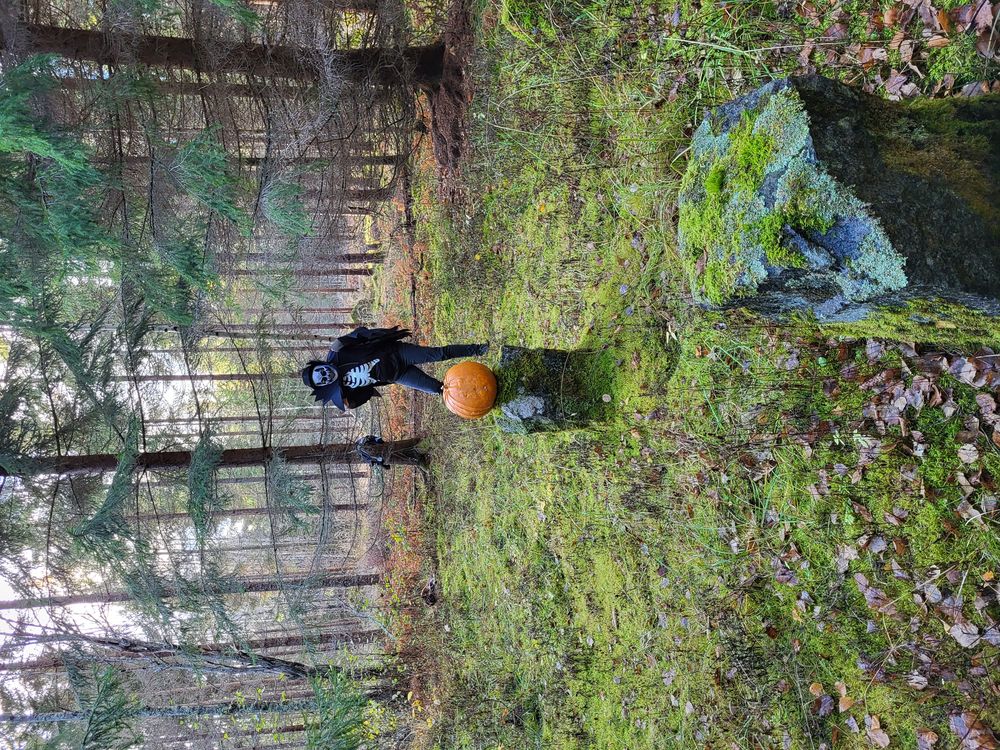 Skjelett med kappe kostyme