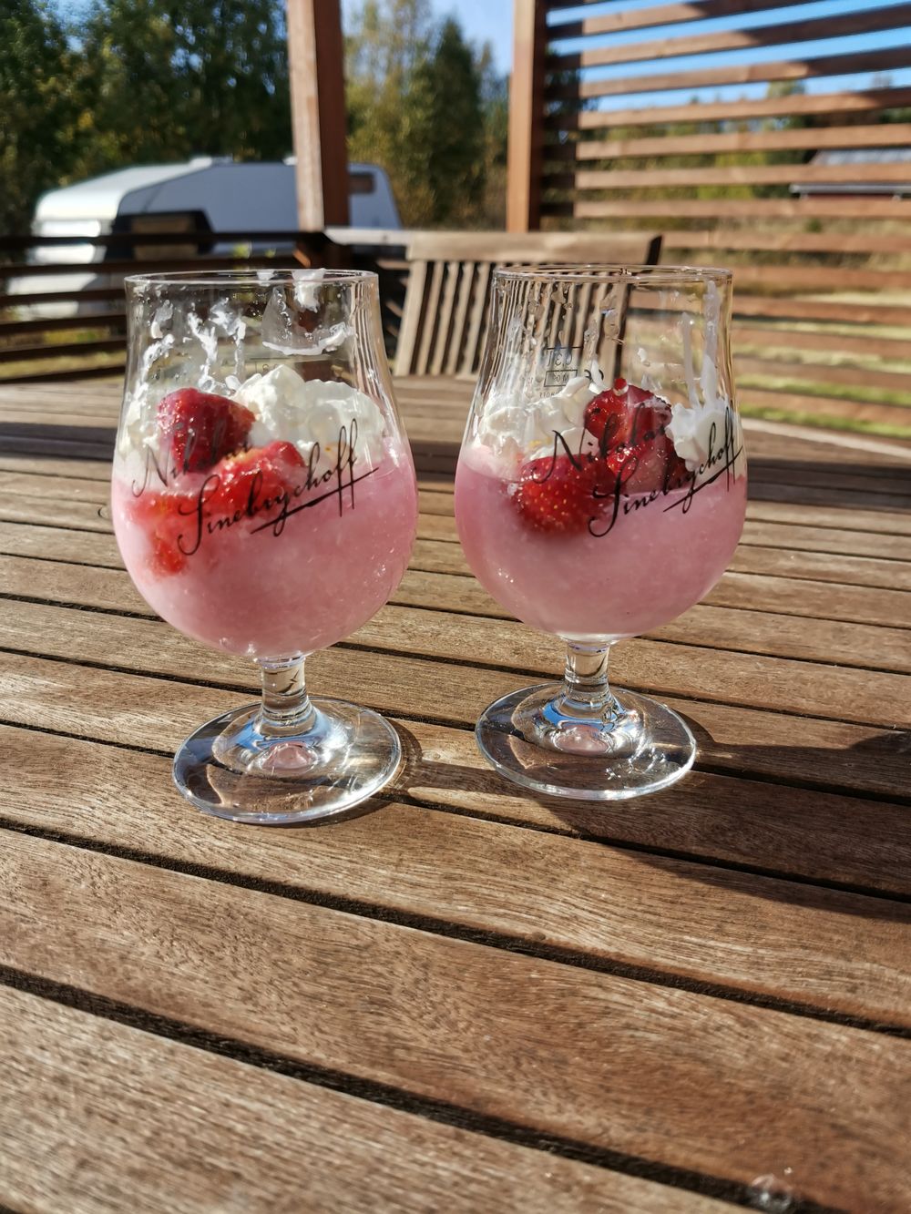 Slush Ice & Drinkbål