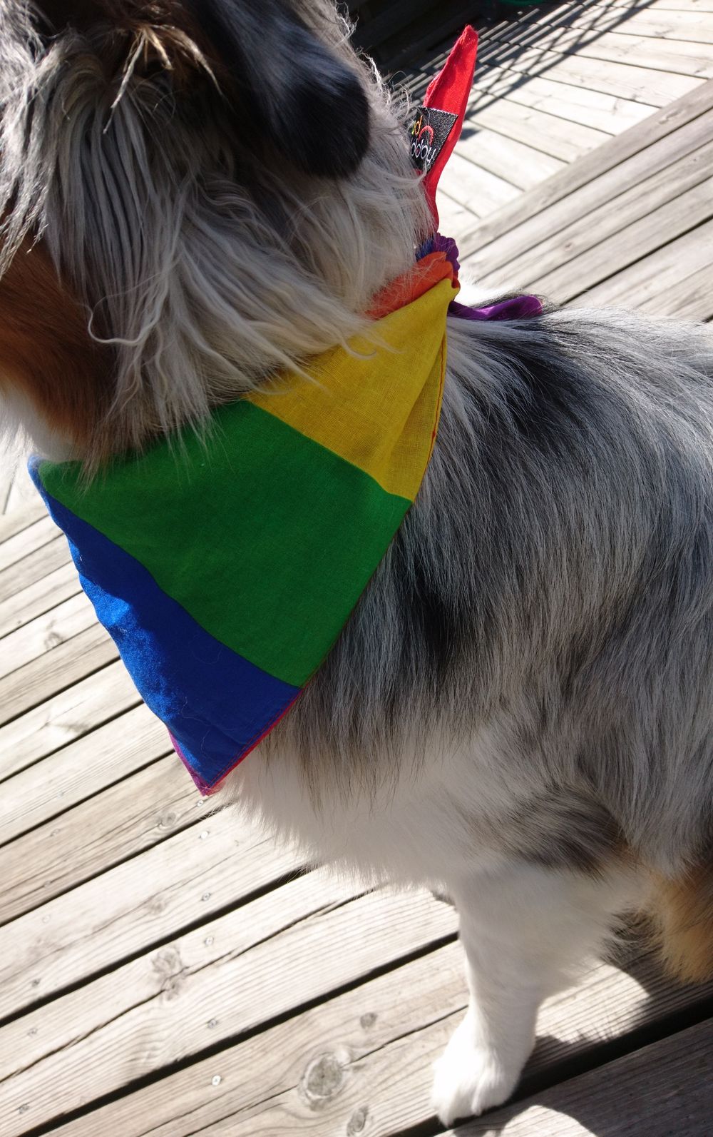 Bandana-huivi Sateenkaarenvärinen