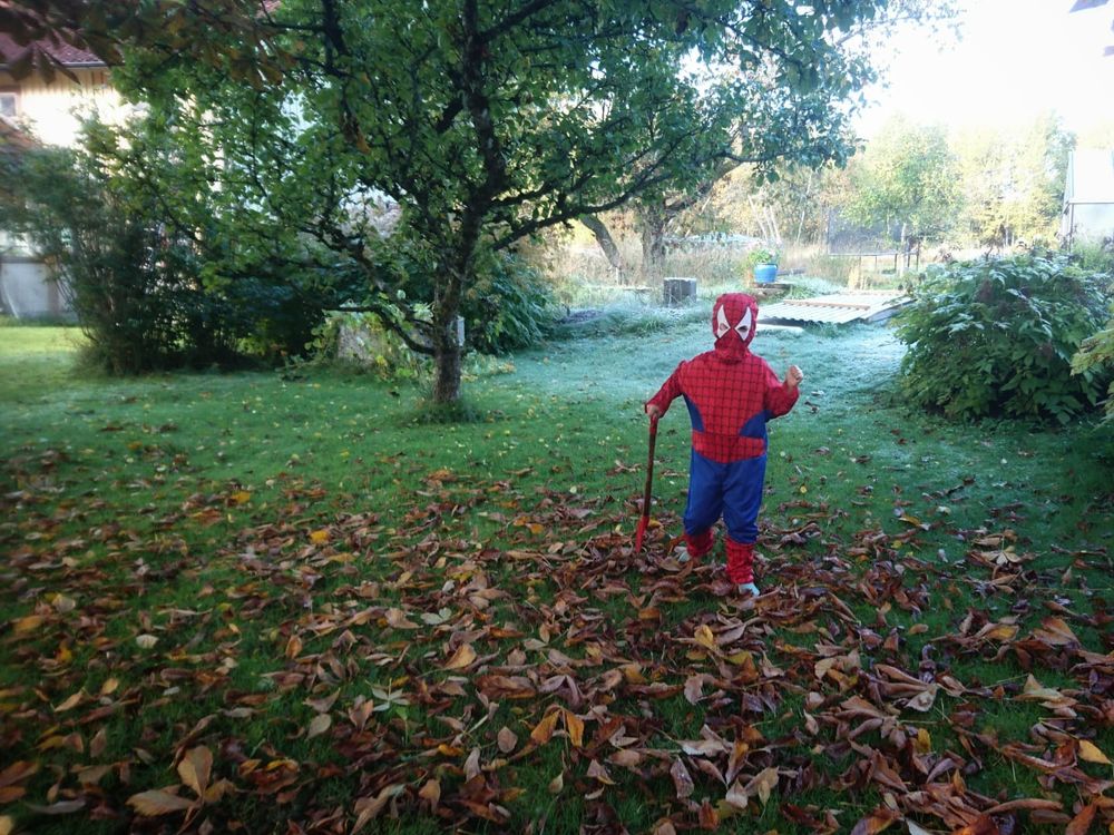 Spiderman Lasten Naamiaisasu Budjetti