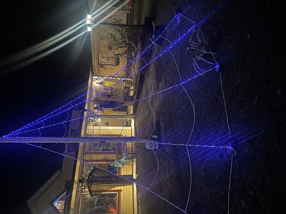Spindelvæv LED med edderkop