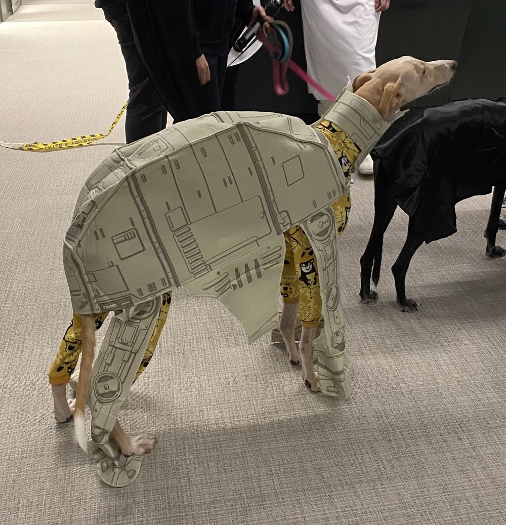 Star Wars AT-AT Hund Kostyme