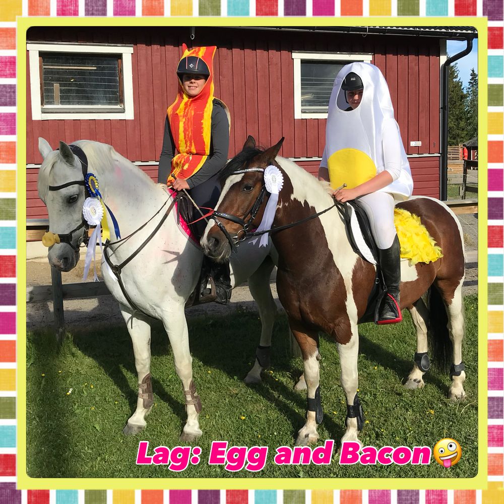 Stekt Egg Kostyme