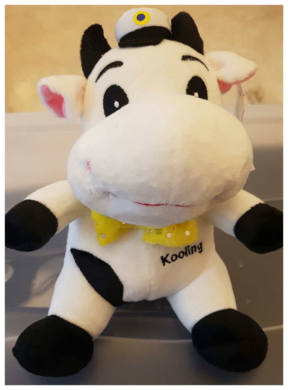 Studentbamse Kooling