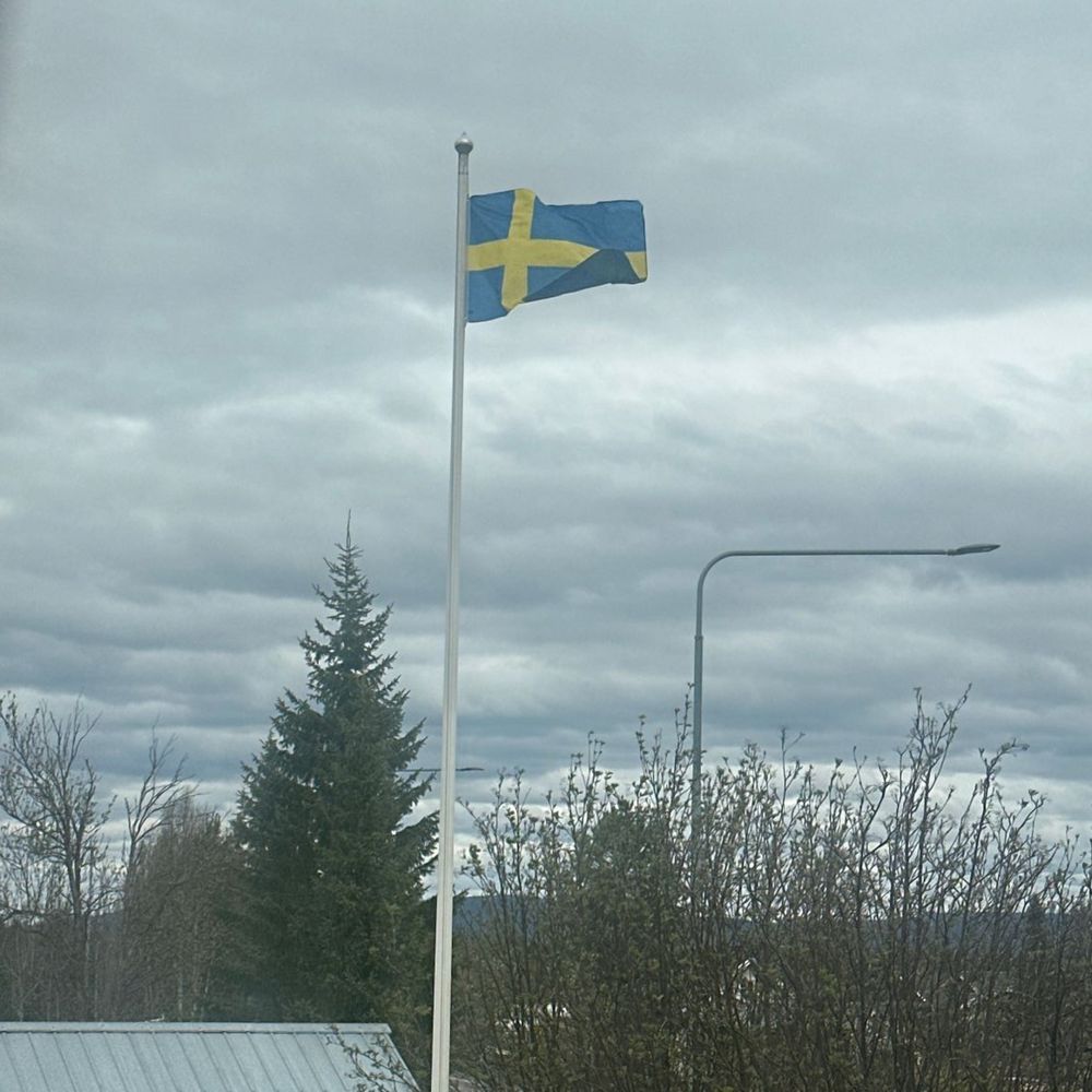 Sverigeflagga