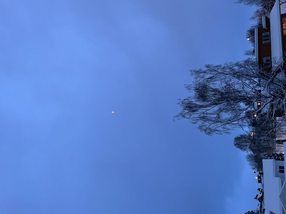 Svävande Rislyktor