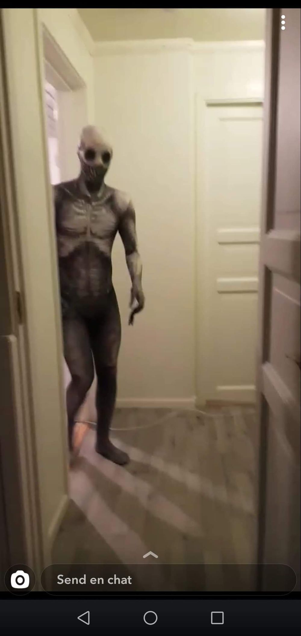 The Rake Morphsuit Kostyme