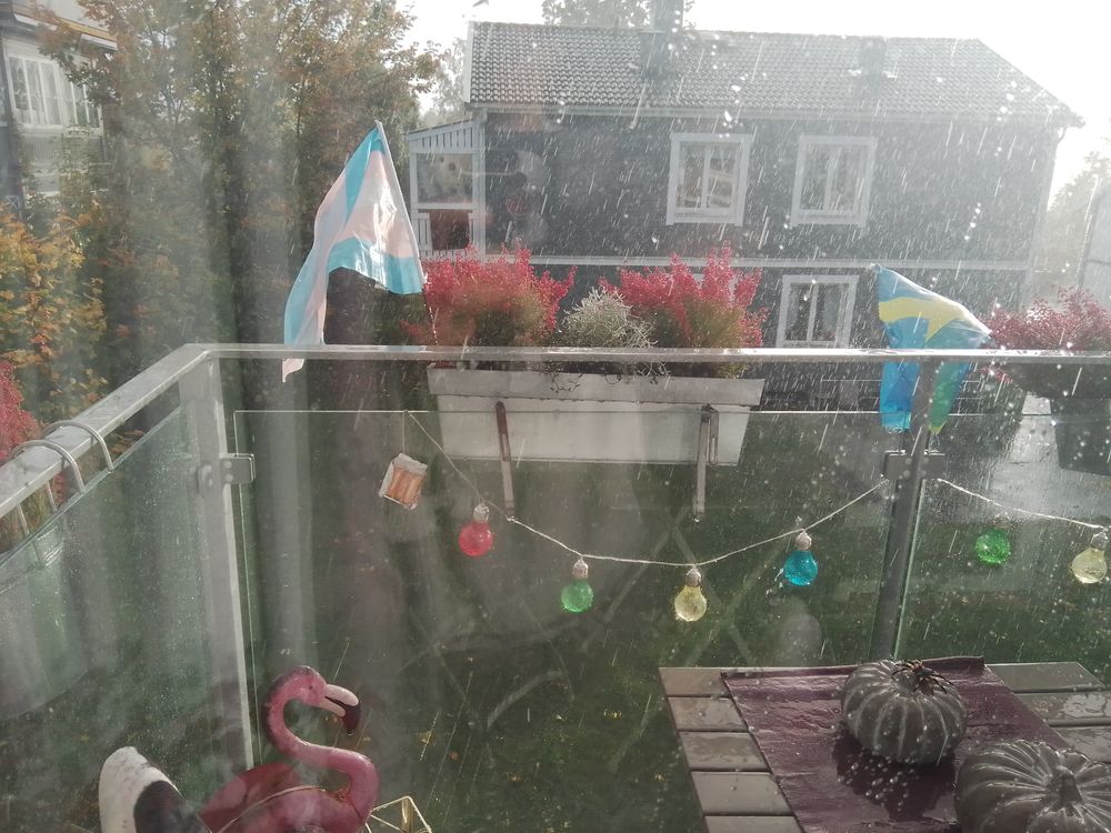 Trans-lippu Kepissä