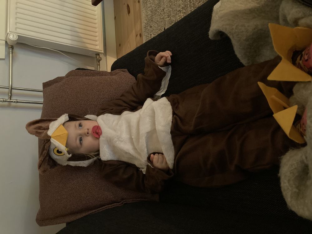 Ugle Børnekostume