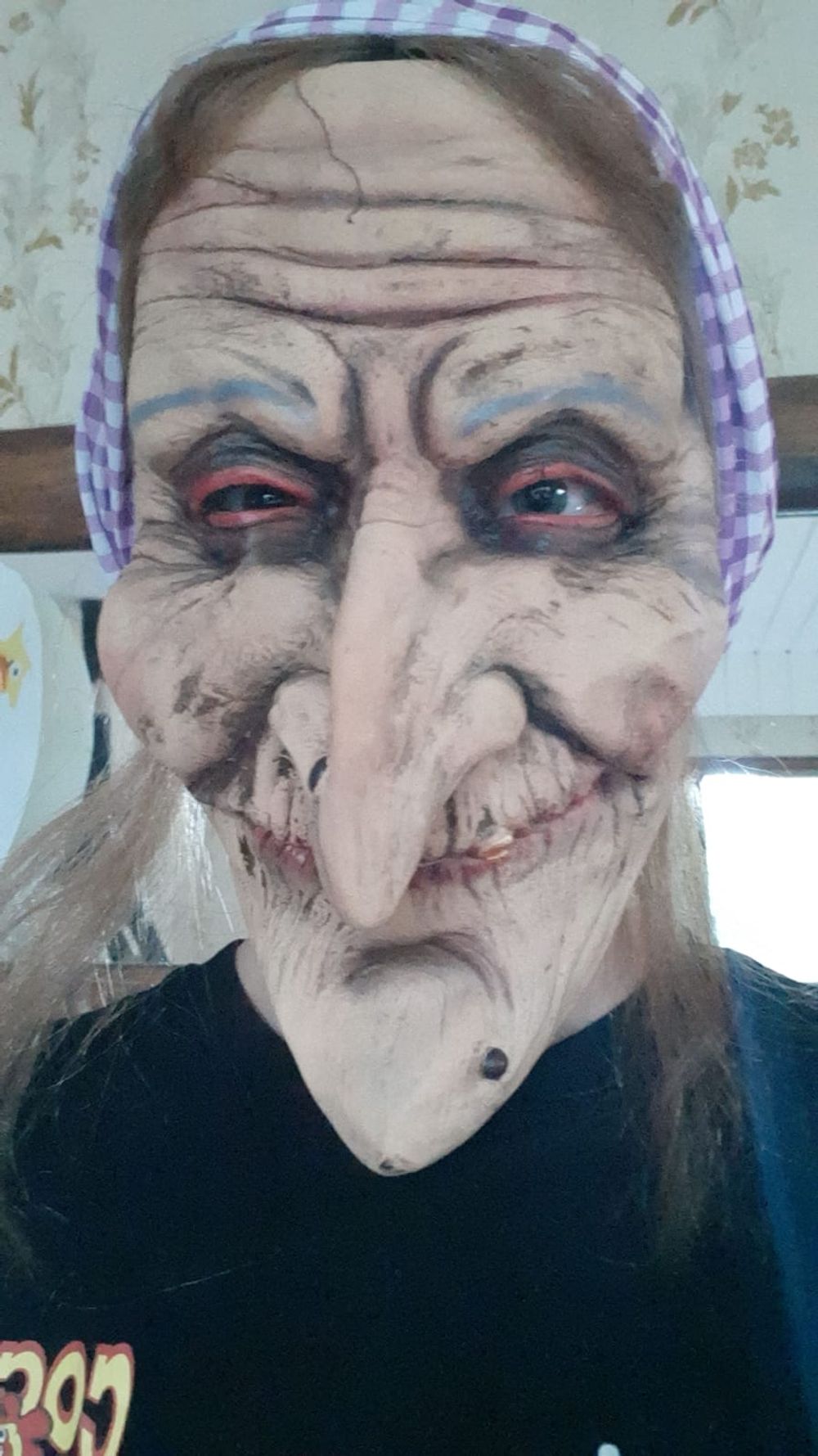 Gammel Heks med Skjerf Maske