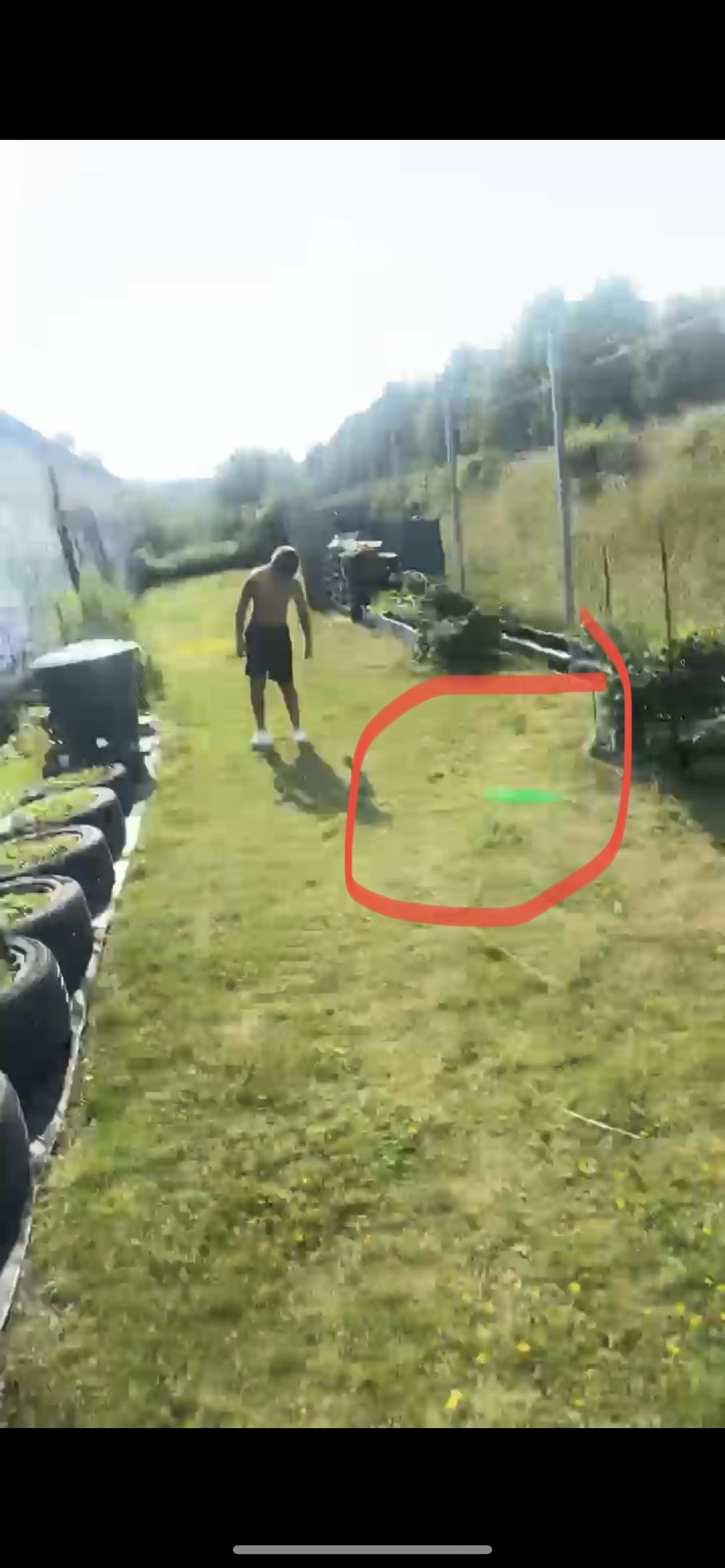 Vesifrisbee
