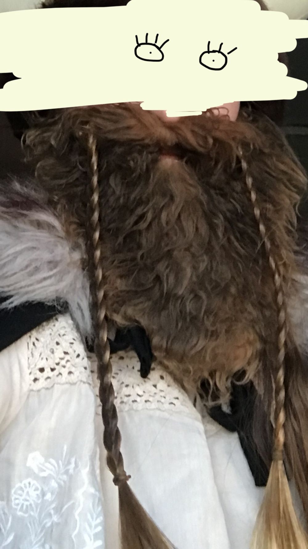 Vikingaskägg
