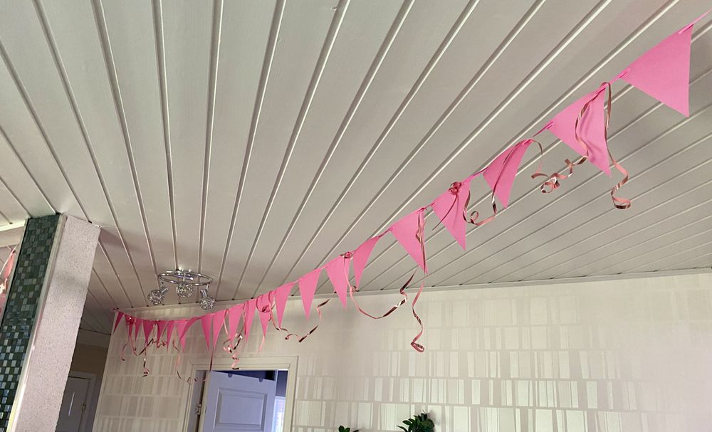 Viirinauha Vaaleanpunainen Pitkä