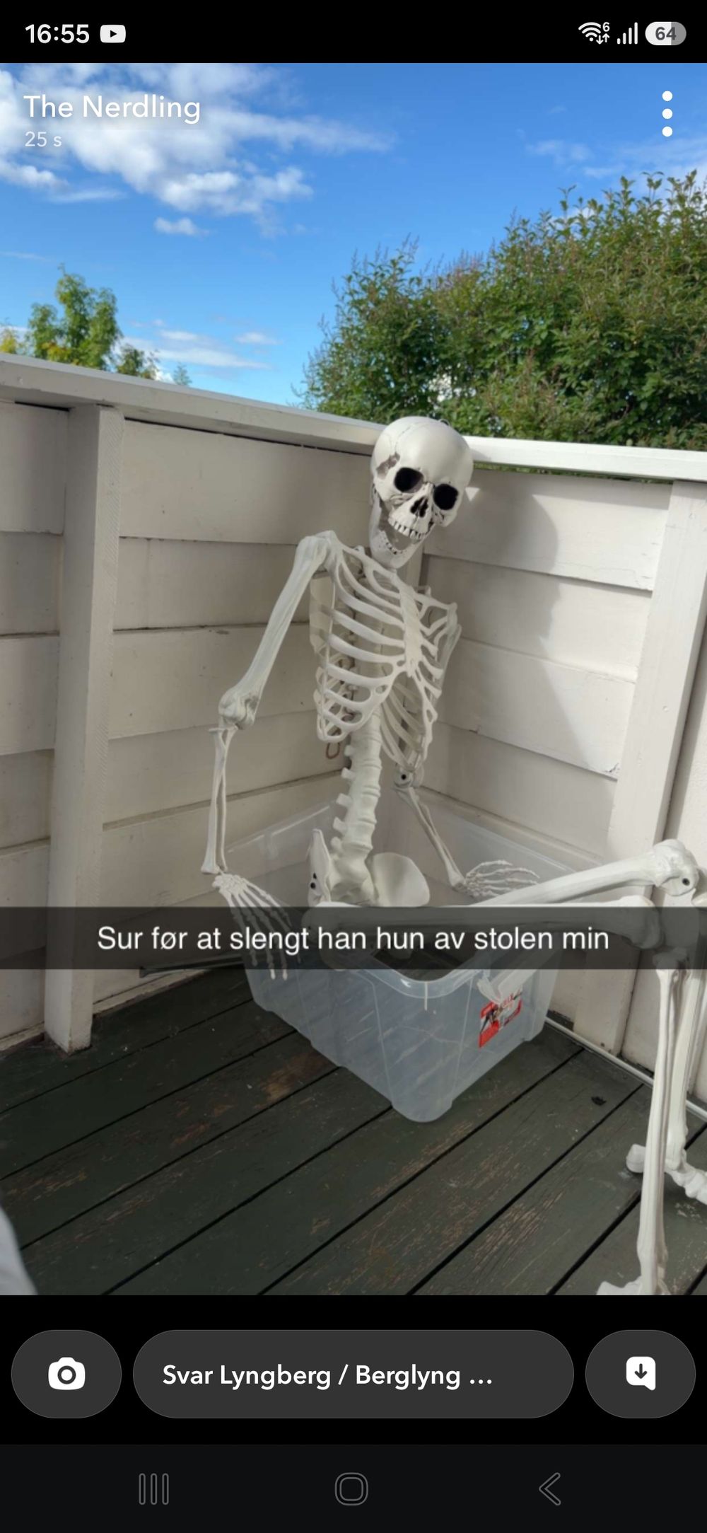 Verklighetstroget Skelett