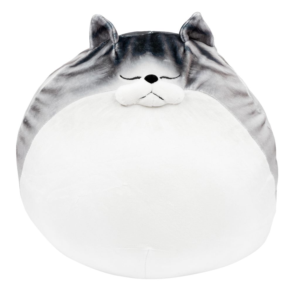 Knubbig Katt-kudde
