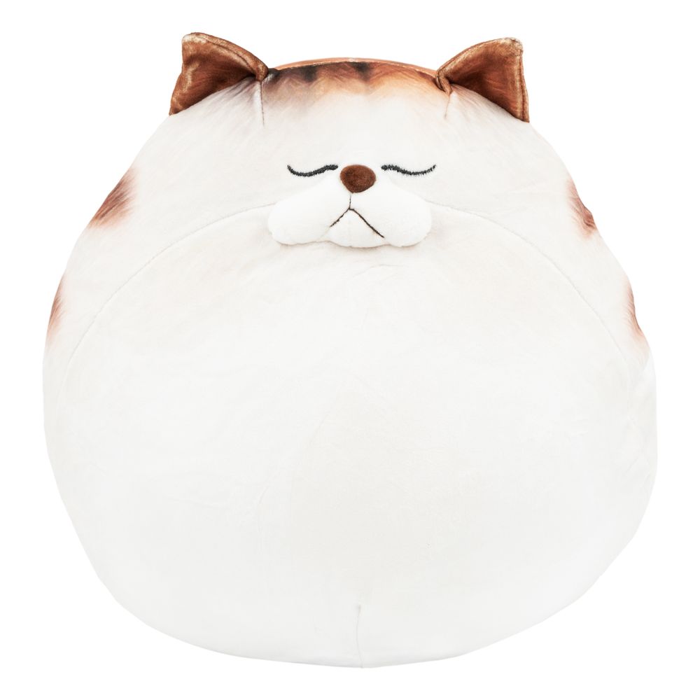 Knubbig Katt-kudde