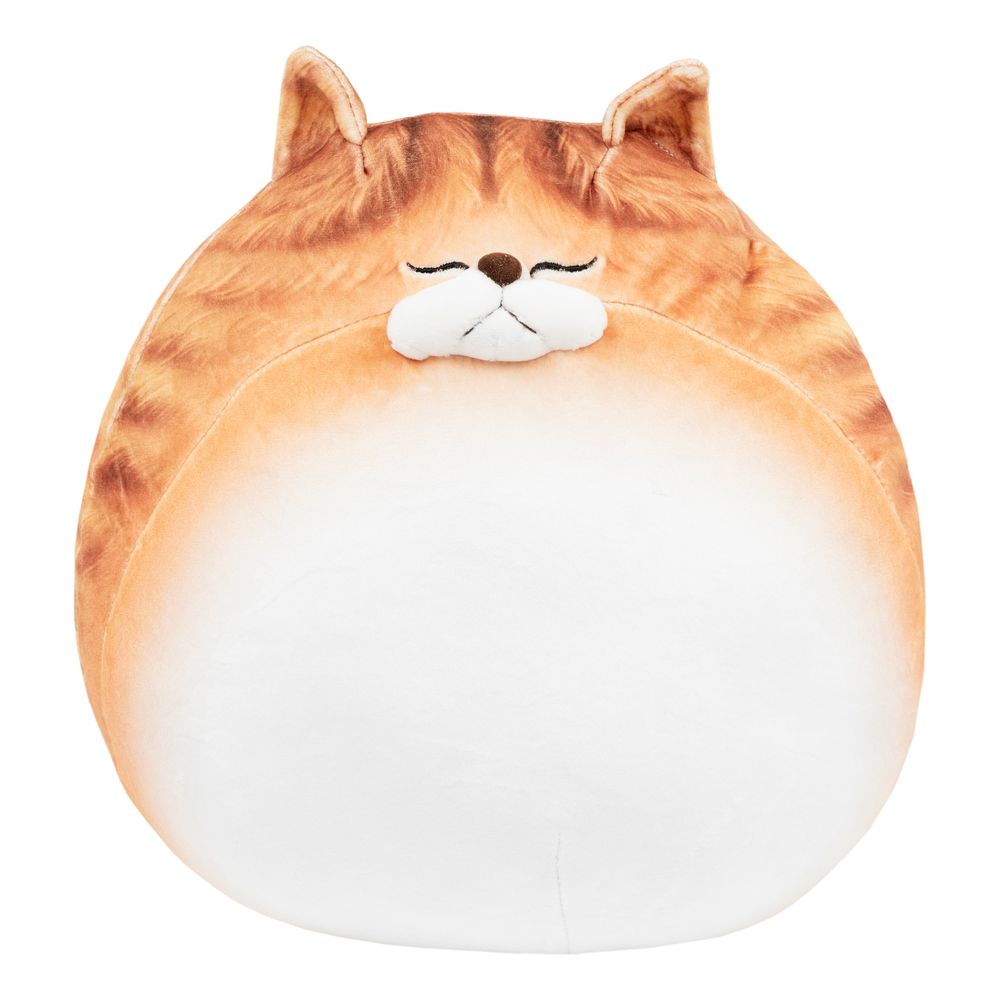 Knubbig Katt-kudde
