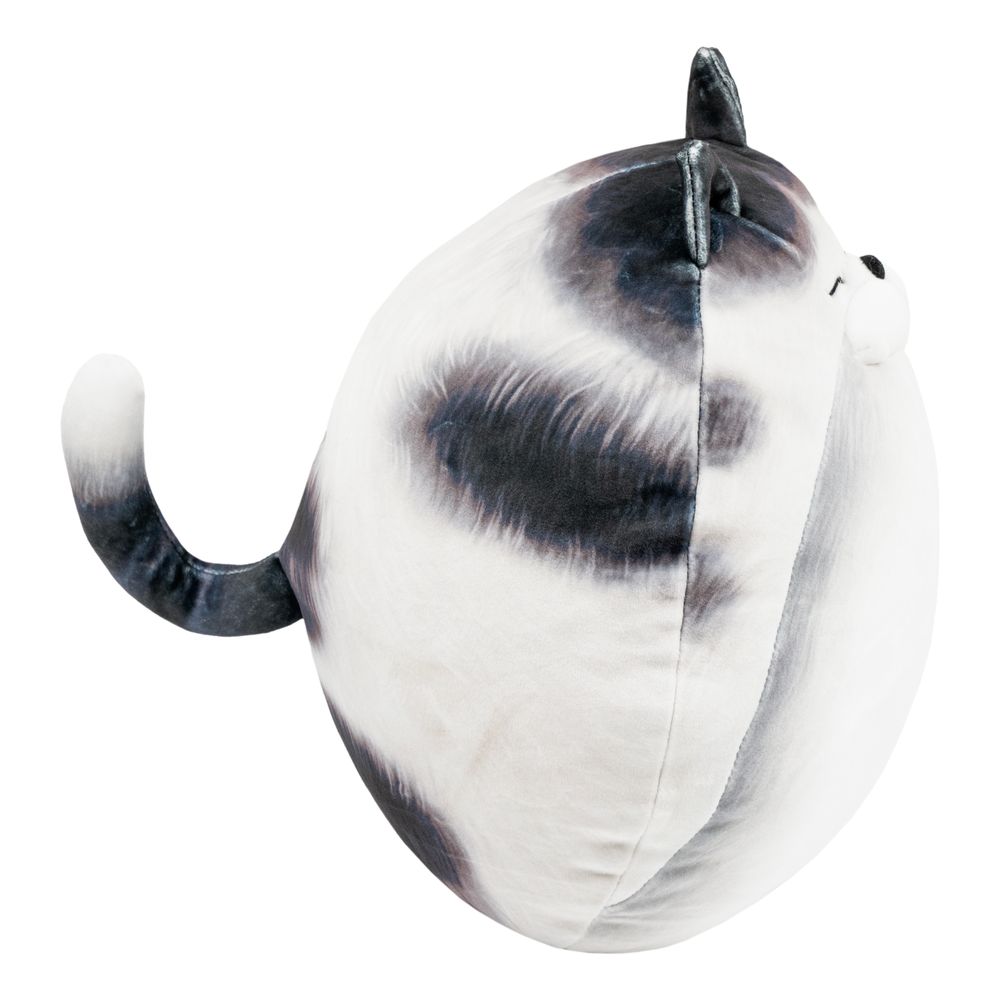 Knubbig Katt-kudde