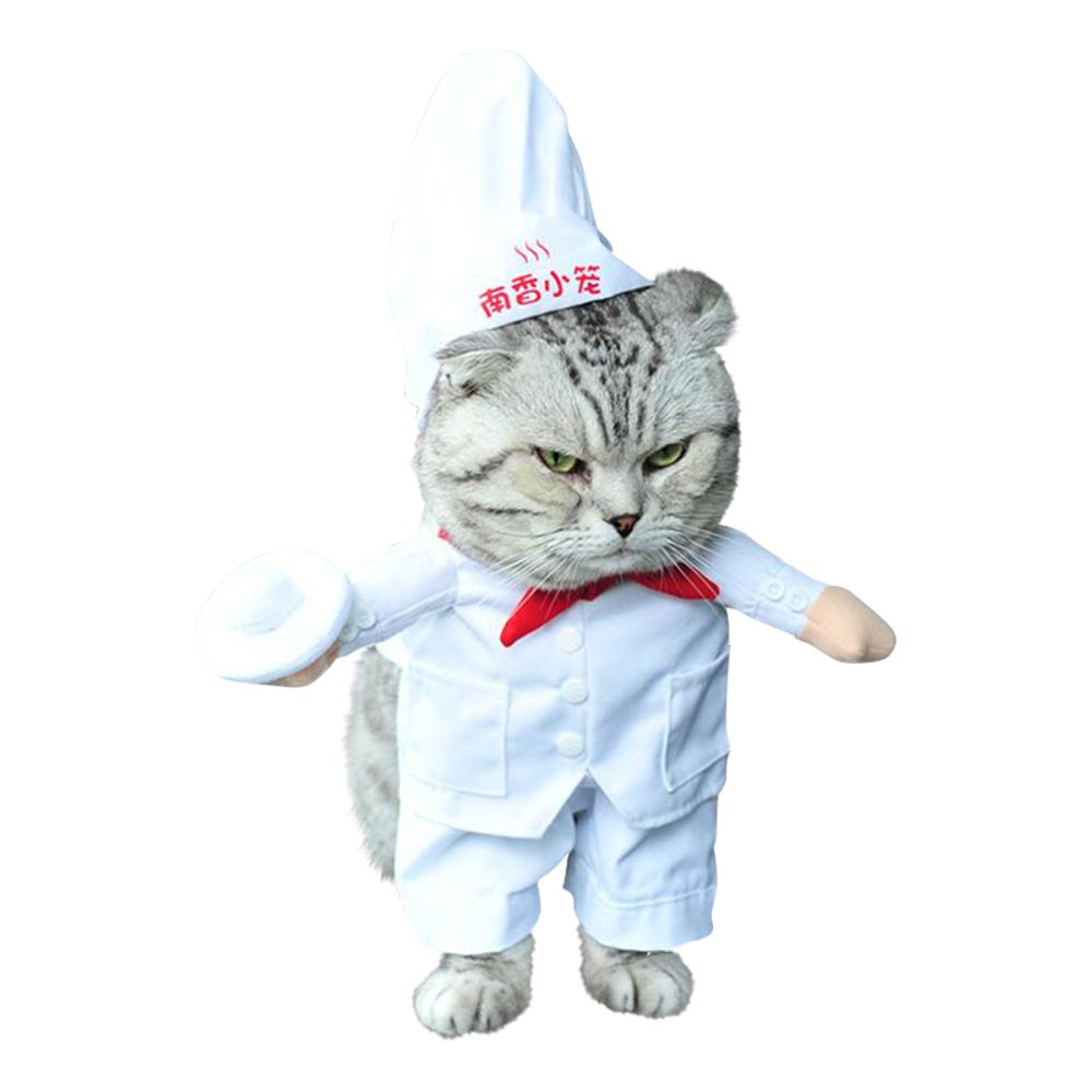 Kokk Kostyme for Katt/Hund