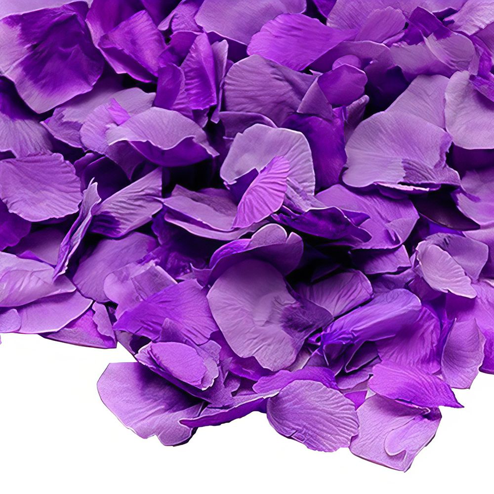 Konfettikanon Roseblad Lilla