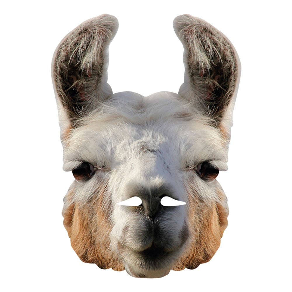 Laama Pahvinaamari