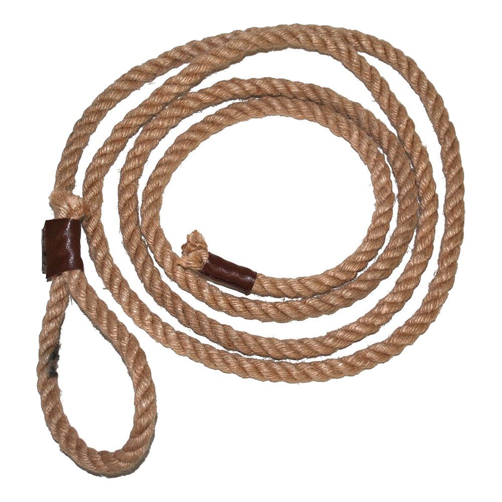 Lasso