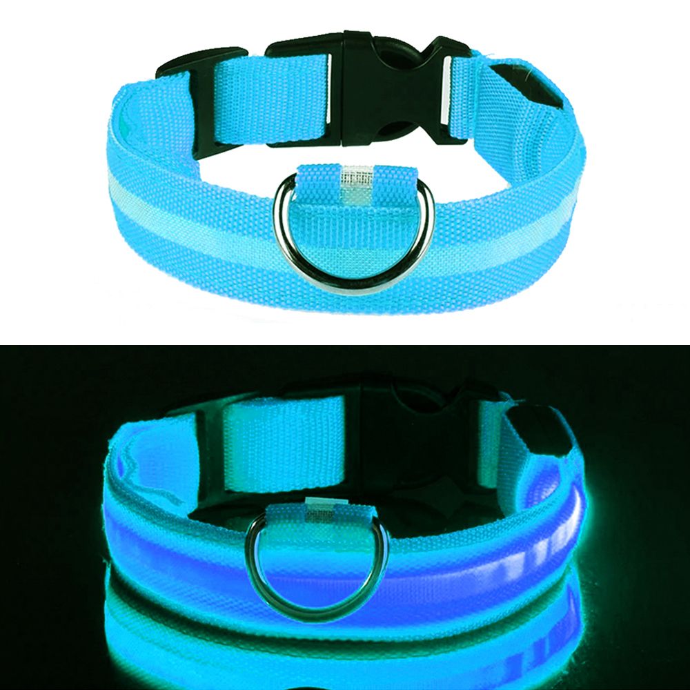 LED Hundehalsbånd