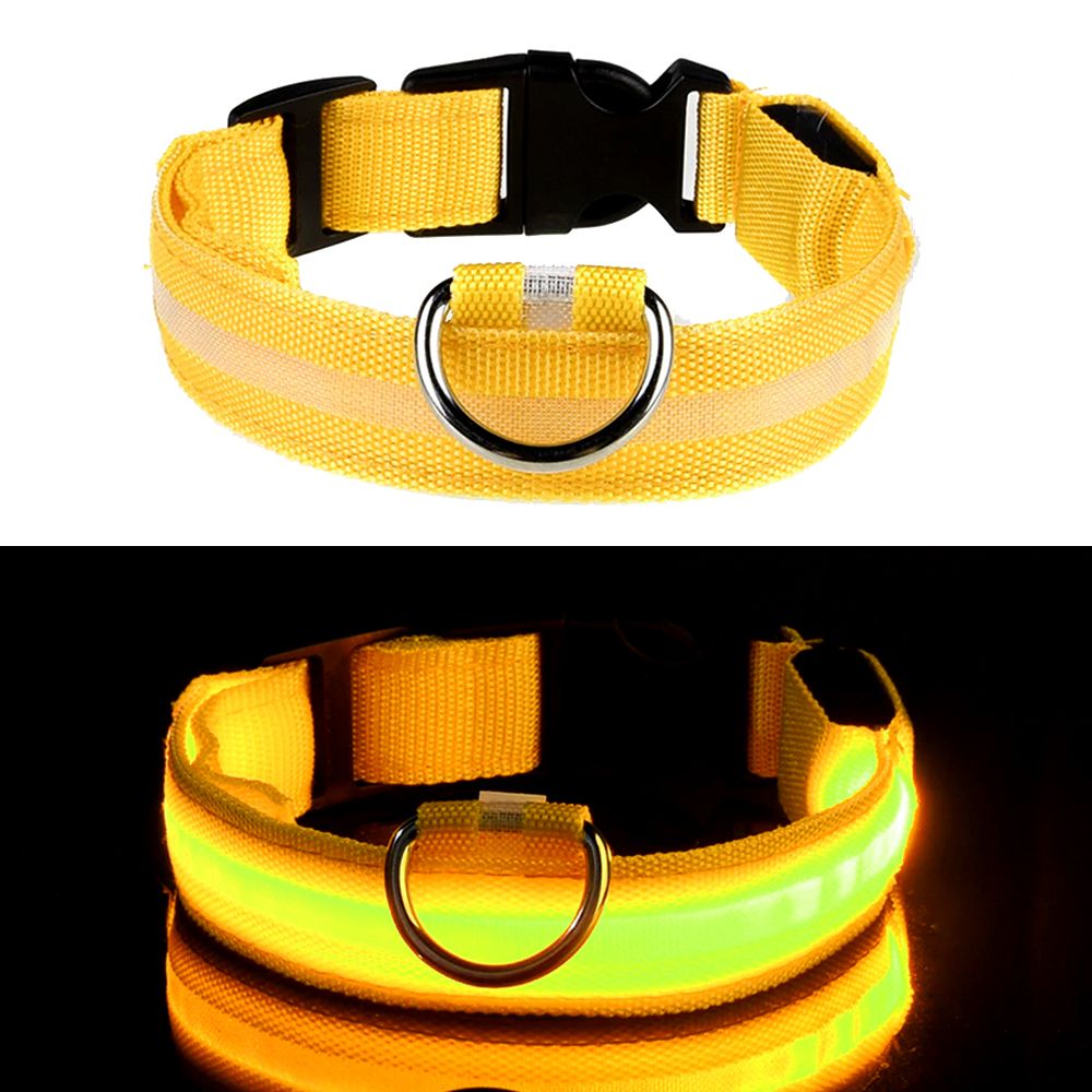LED Hundehalsbånd