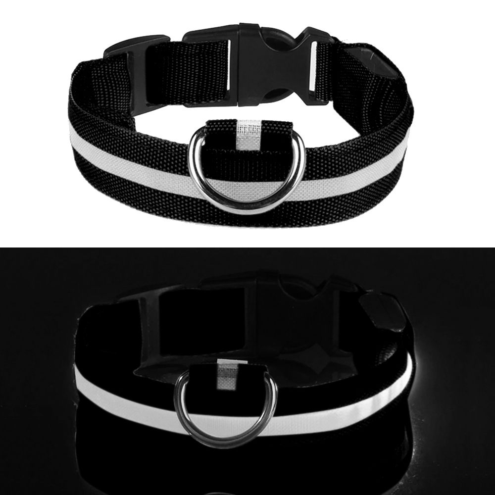 LED Hundehalsbånd