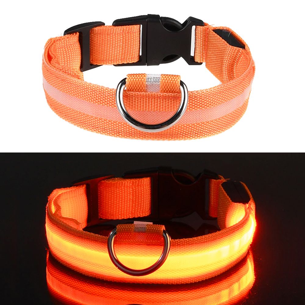 LED Hundehalsbånd