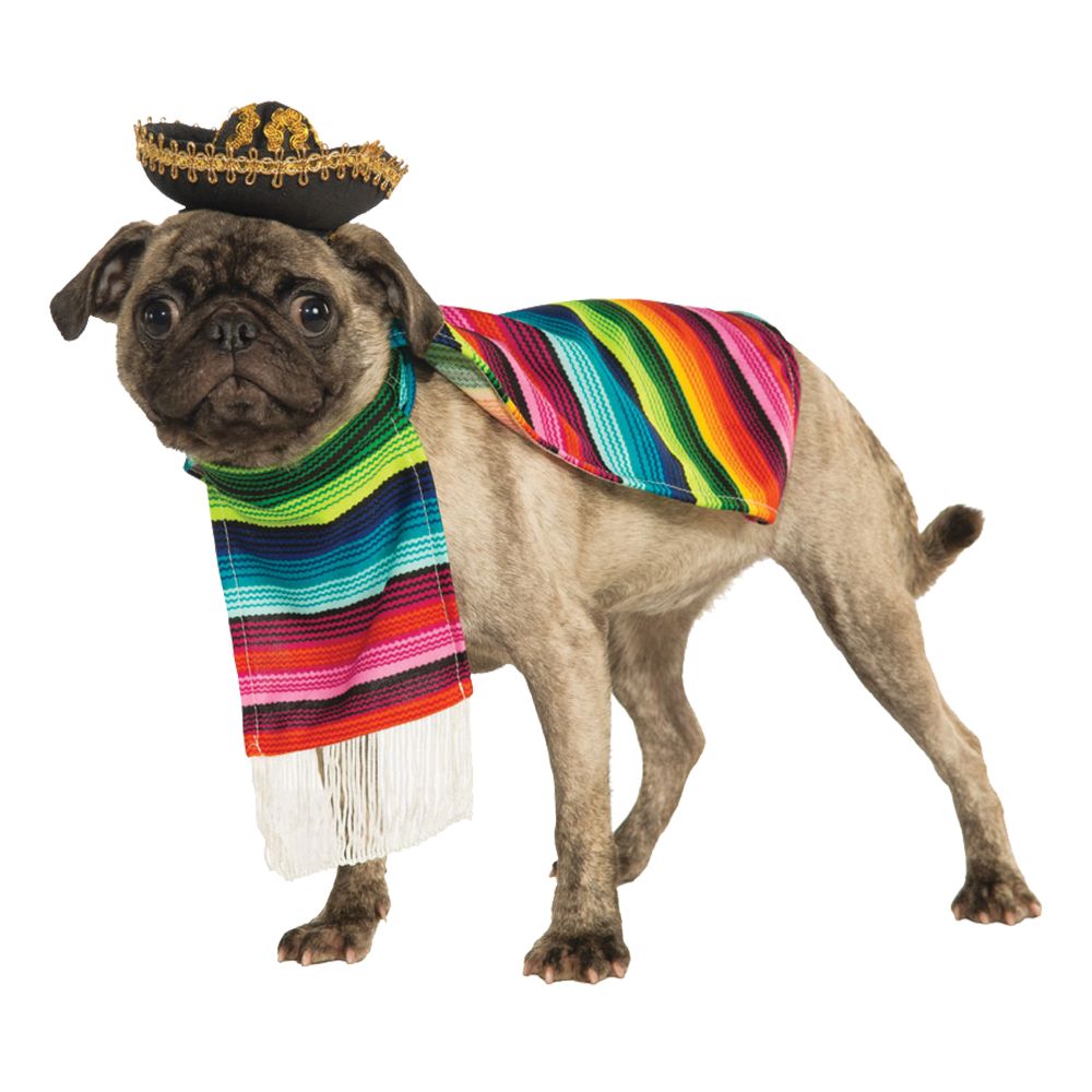 Mexico Hund Kostyme