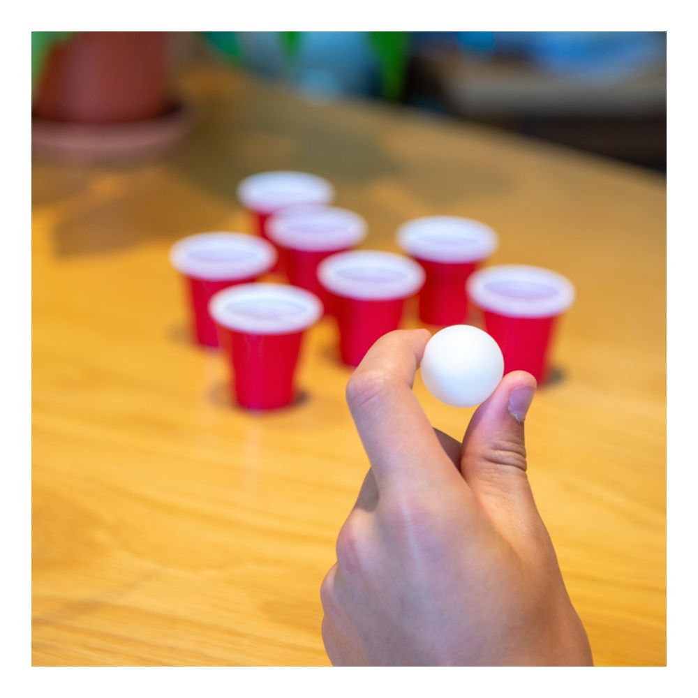 Mini Beer Pong Set