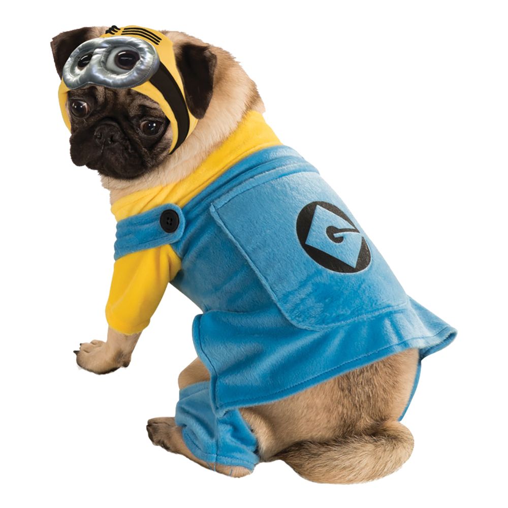 Minion Hund Drakt