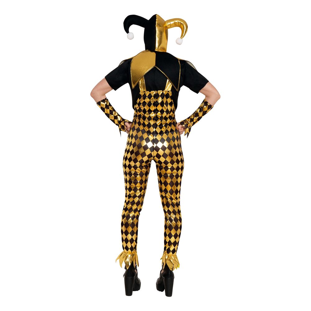 Mørk Harlequin Dame Kostume