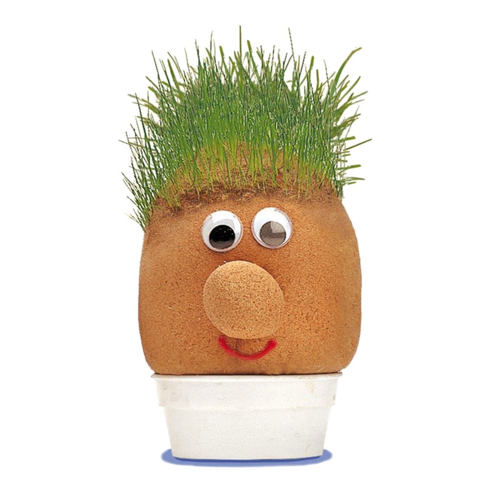 Mr Grasshead Potteplante