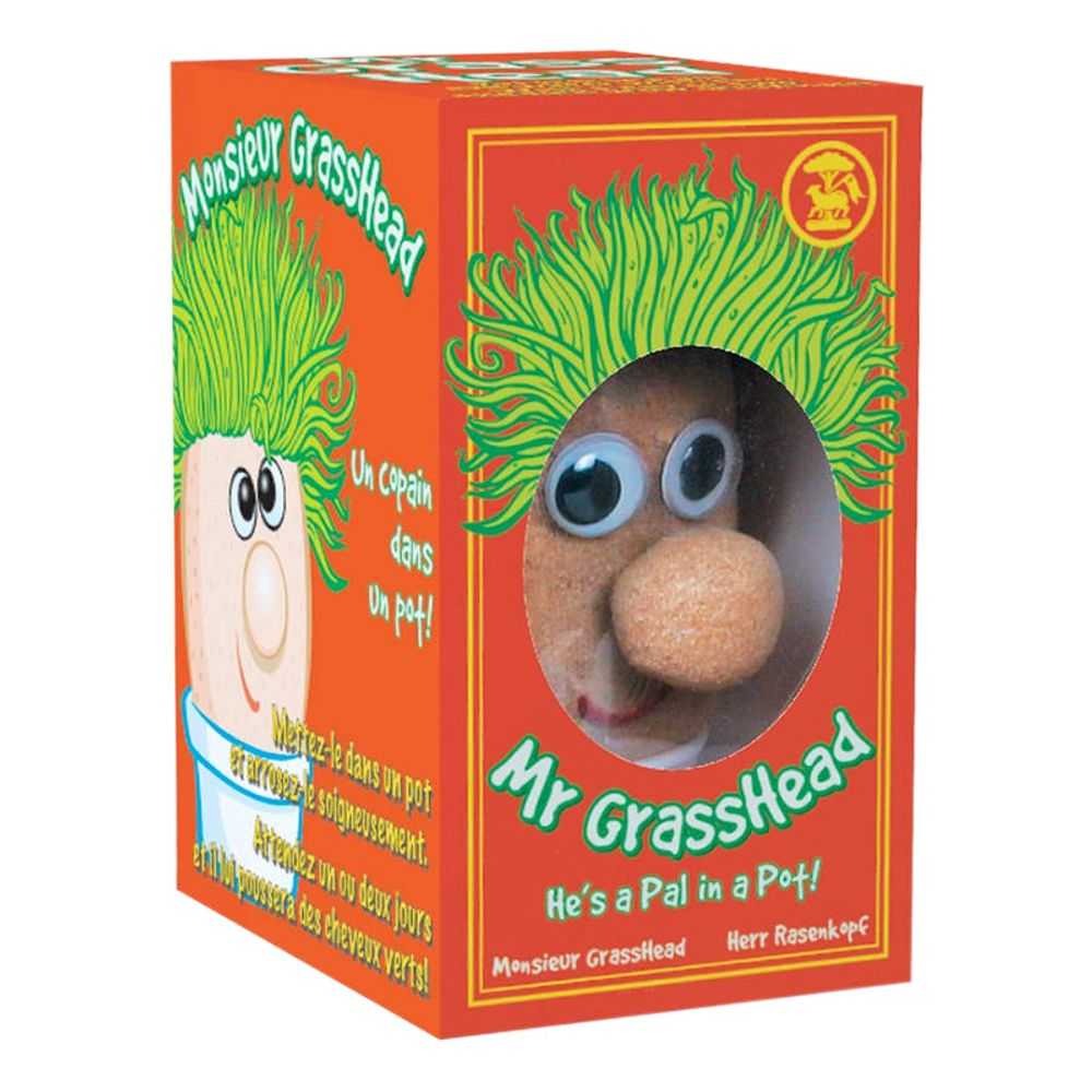 Mr Grasshead Potteplante